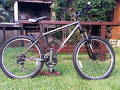 foto de Bicicleta Trek 820 robada